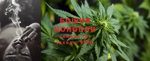 мдпв Лагань
