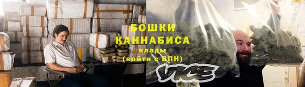 мдпв Лагань