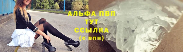 сатива Лабытнанги