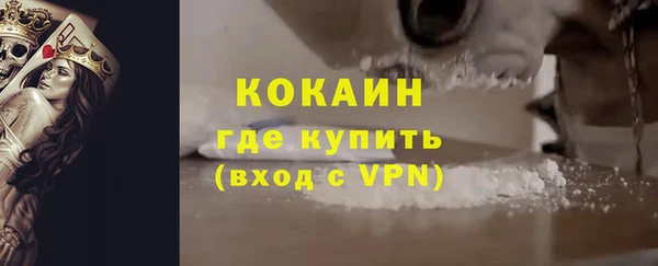 сатива Лабытнанги