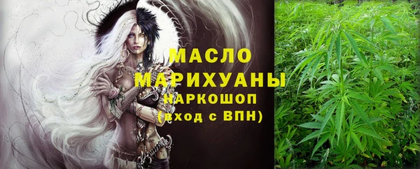 сатива Лабытнанги