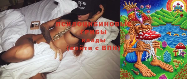 mdpv Ладушкин