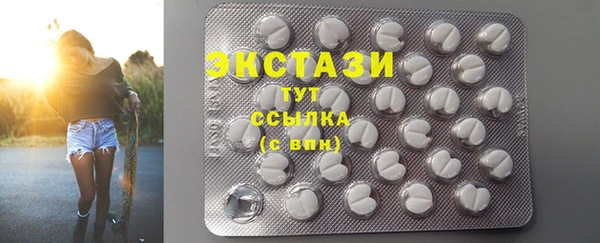 сатива Лабытнанги