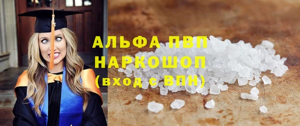 сатива Лабытнанги
