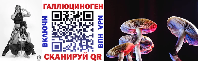 Галлюциногенные грибы ЛСД  Торопец 